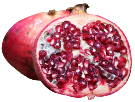 pomegranate pomegranate